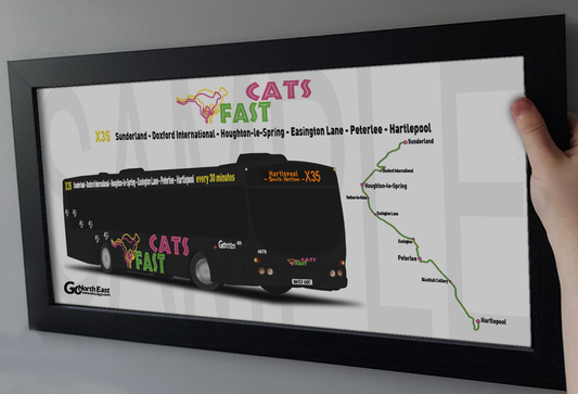 Go North East Fast Cats X35